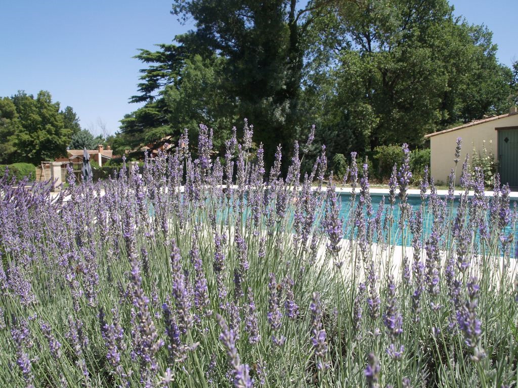 Grand Causeran piscine